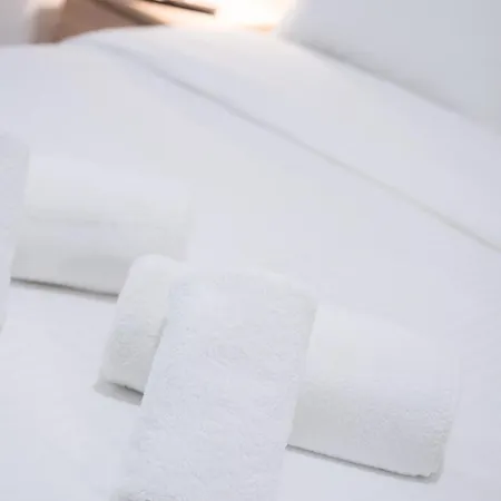 Luxury 3 Downtown Apartment